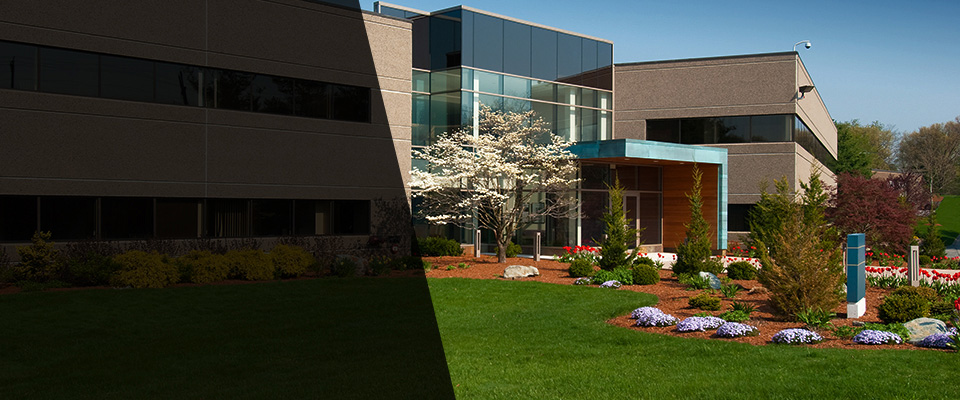 Turlock Landscapers