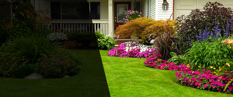 Turlock Landscapers