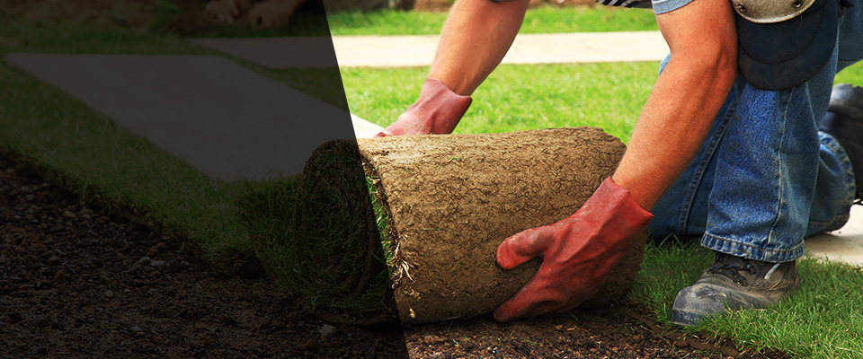 Turlock Landscapers